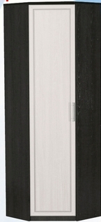 Шкаф для одежды угловой ДЛЯ ГОСТИНОЙ ШОУ-695 Венге/Дуб выбеленный в Юрге - yurga.katalogmebeli.com | фото